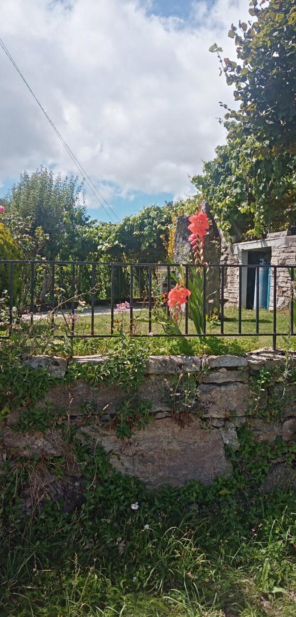 O Rocha Villa Paredes do Rio Exterior photo